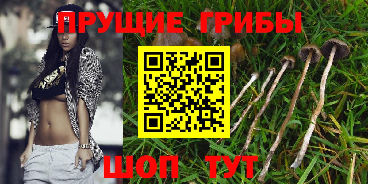 Кизляр  Галлюциногенные грибы мухоморы  Вход с VPN 